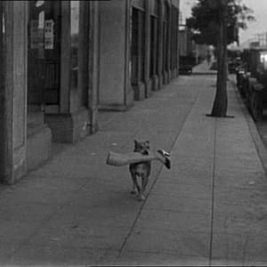 Meet your Posher, Jill